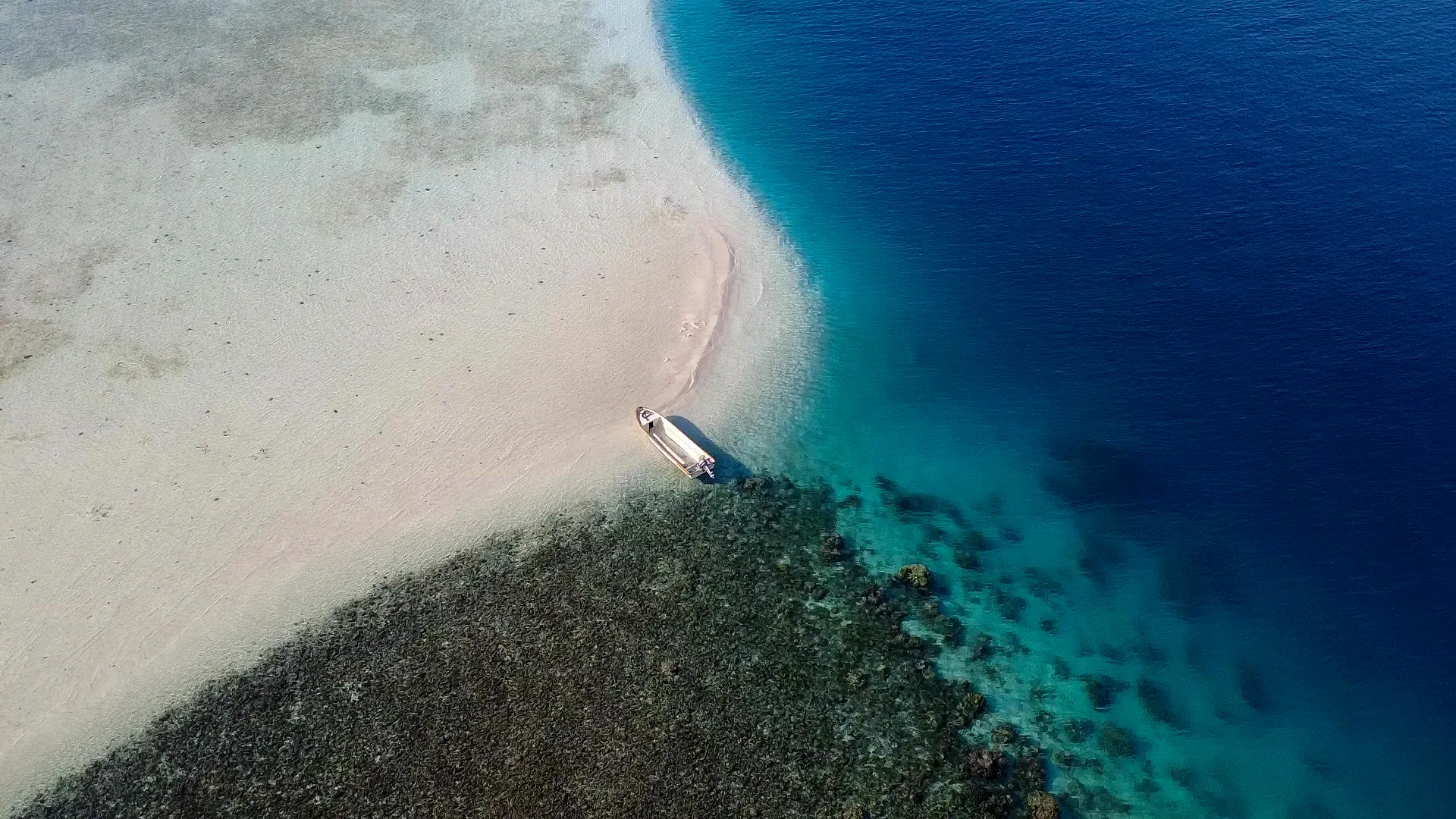 Desde el aire: la lancha que lleva del barco a la arena, con el arrecife empezando a pocos metros de la orilla y el azul oscuro justo detrás.